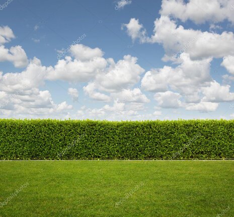 Allarme per villetta con giardino